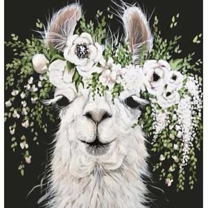 Meet your Posher, Jen